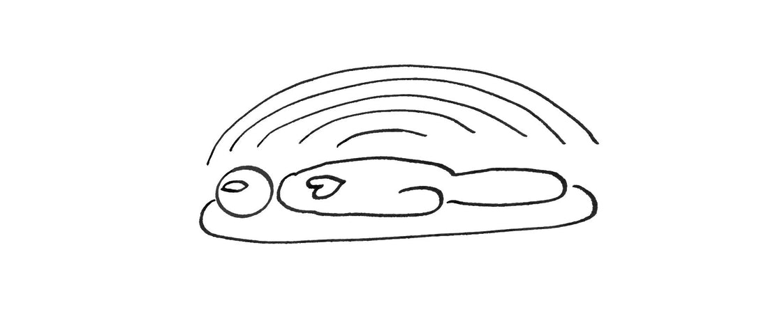 Rebirthing Breathwork